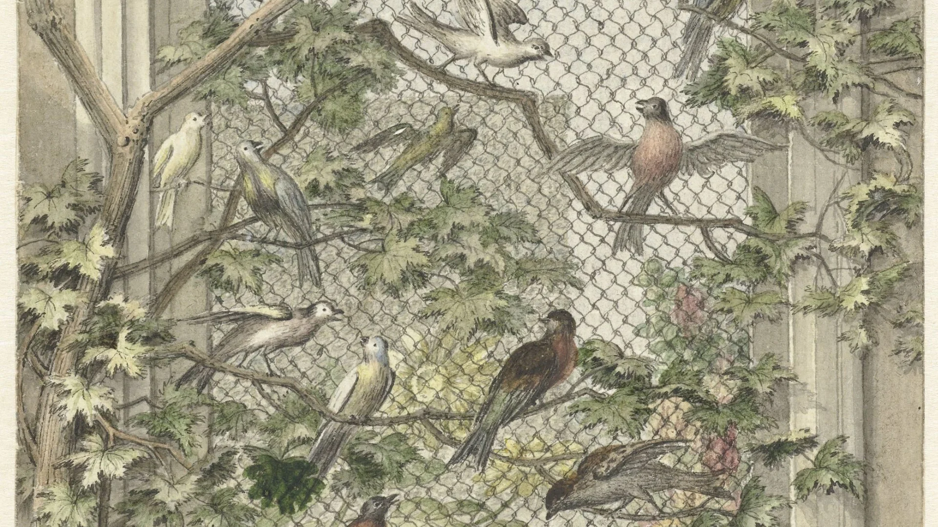 Volière met veertien vogels